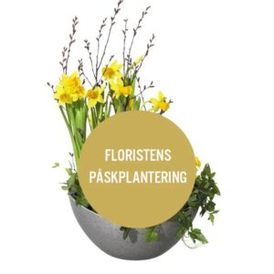 Floristens påskplantering