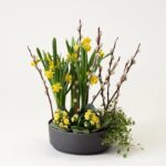 PLANTERING PÅSKHÄLSNING