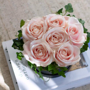 ROSA ROSBOXEN - Bild 3