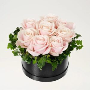 ROSA ROSBOXEN, STOR