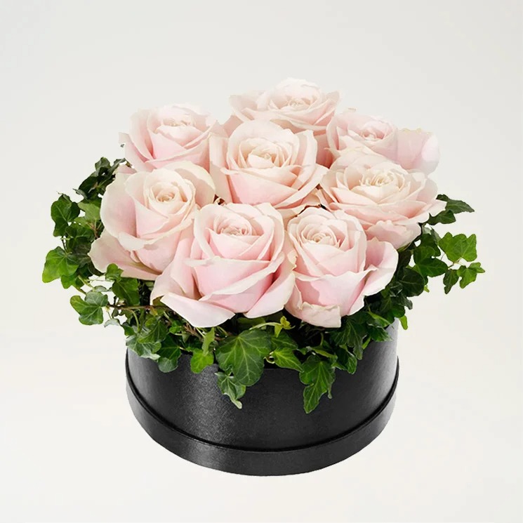 ROSA ROSBOXEN