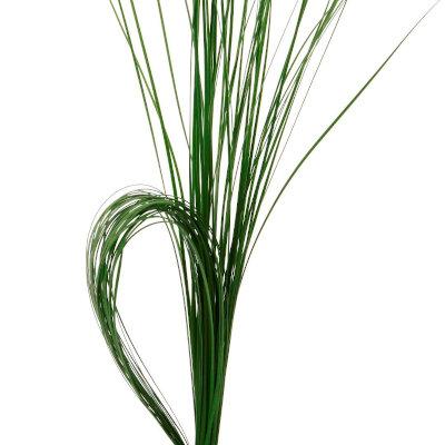 Steel grass