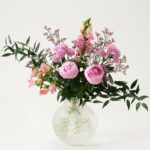pioner