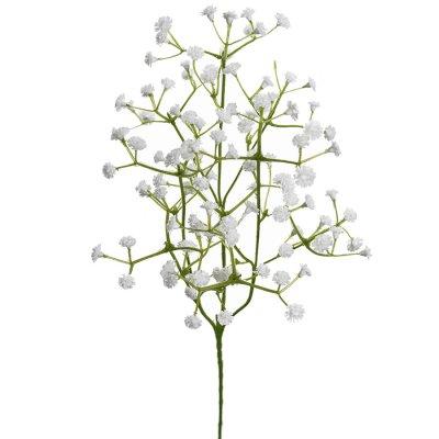 Brudslöja/ sommarslöja