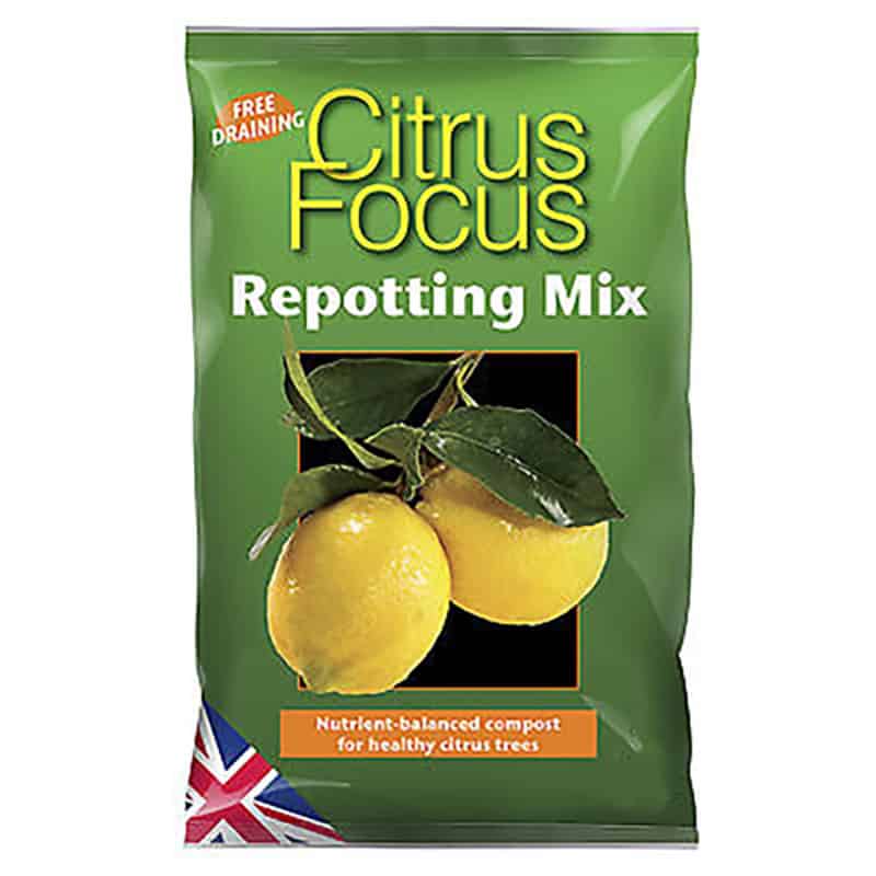 Citrus Focus - citrusjord