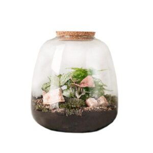terrarium