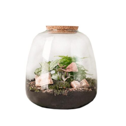 terrarium